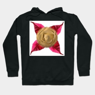 Rose and Poinsettia drawing Hoodie